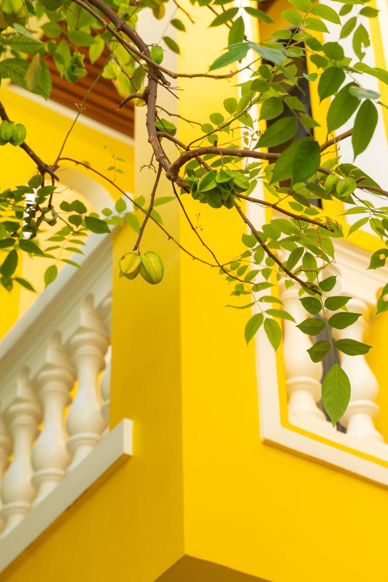 Quyen'S House Homestay ホイアン エクステリア 写真